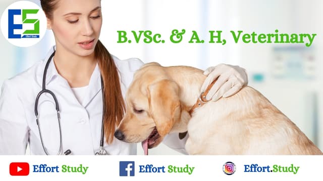 bvsc.-&-a.h.-bachelor-of-veterinary-science-and-animal-husbandry