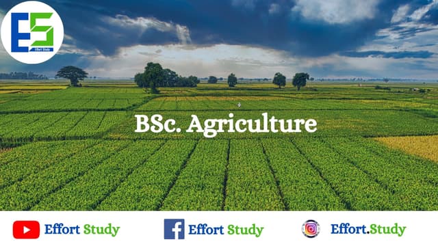 bsc.-ag.-bachelor-of-science-in-agriculture:-eligibility-and-scopes