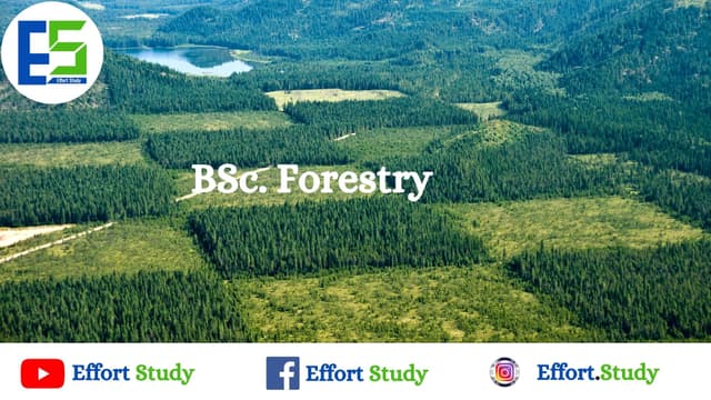 bsc.-forestry,-bachelor-of-science-in-forestry